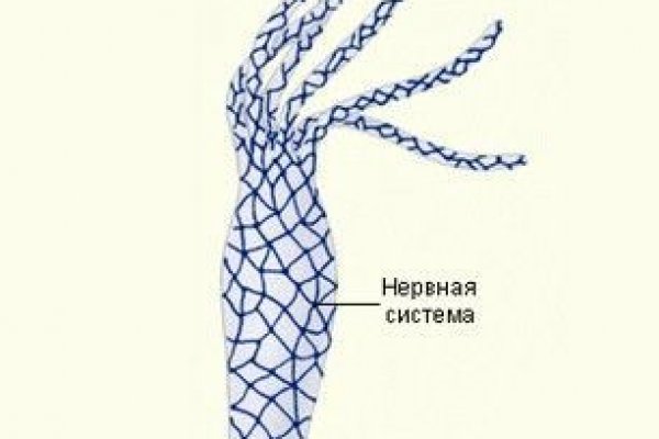 Как пополнить кошелек на кракене даркнет