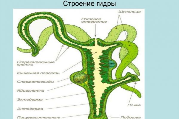 Кракен как войти