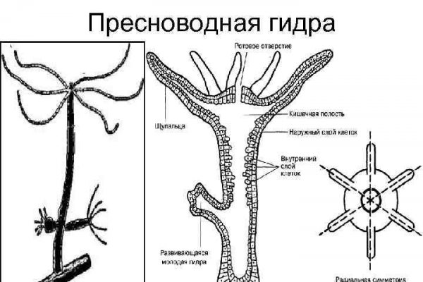 Кракен площадка нарко