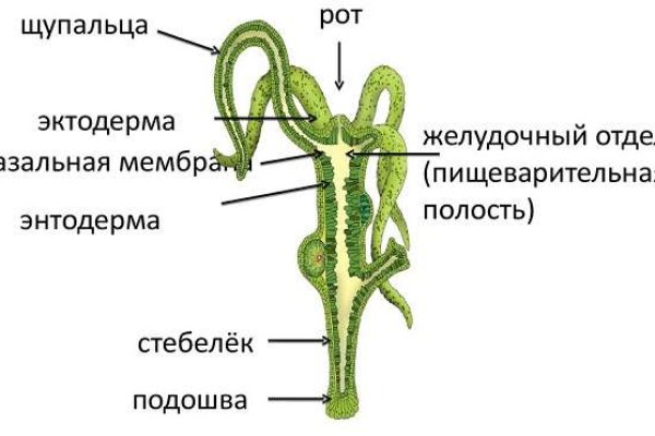 Кракен зарегистрироваться