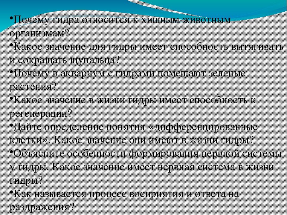 Кракен вход магазин